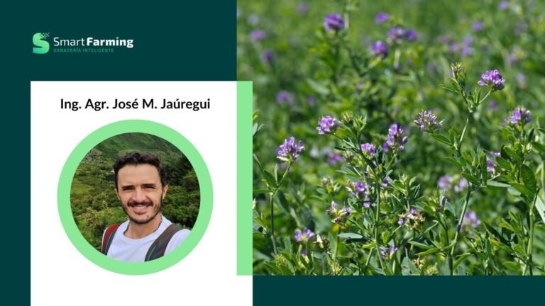 ALFALFA: manejo práctico para cerrar brechas productivas