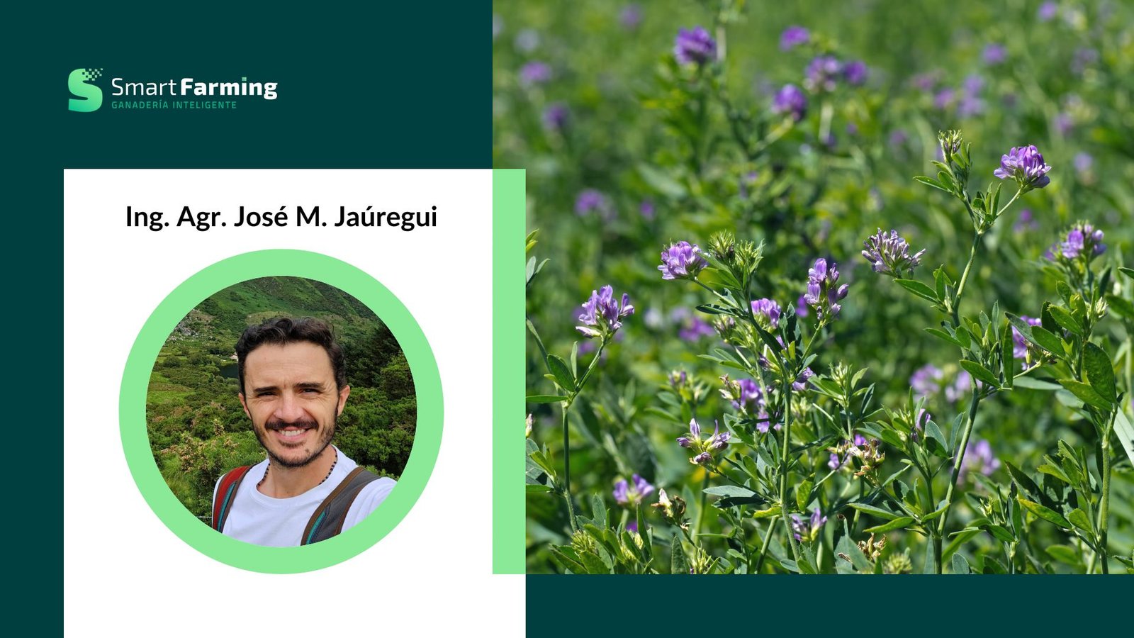 ALFALFA: manejo práctico para cerrar brechas productivas