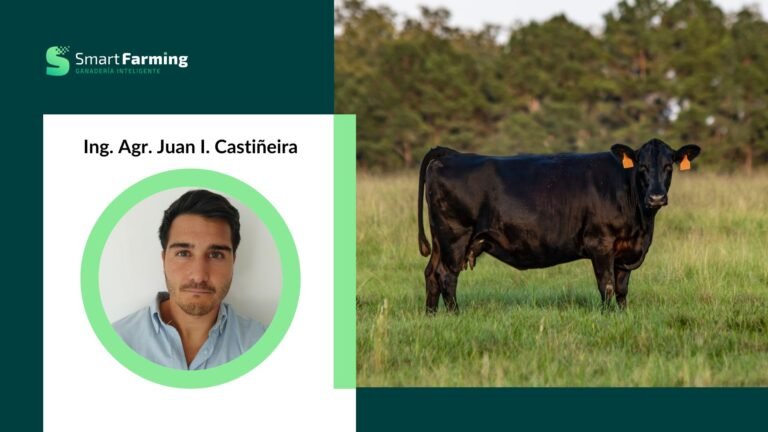CONDICIÓN CORPORAL: herramienta clave de manejo